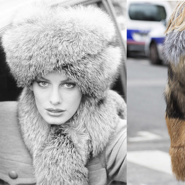 Saga Furs took big steps in leadership since 1980s | Choose Saga Furs