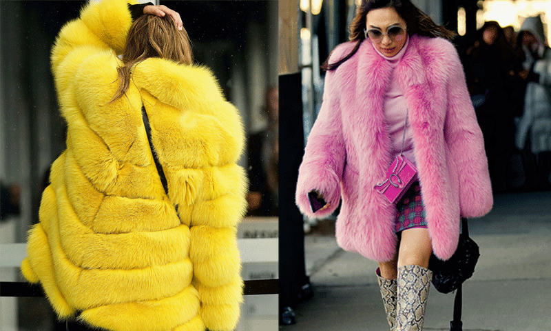 Yellow and pink fox jackets